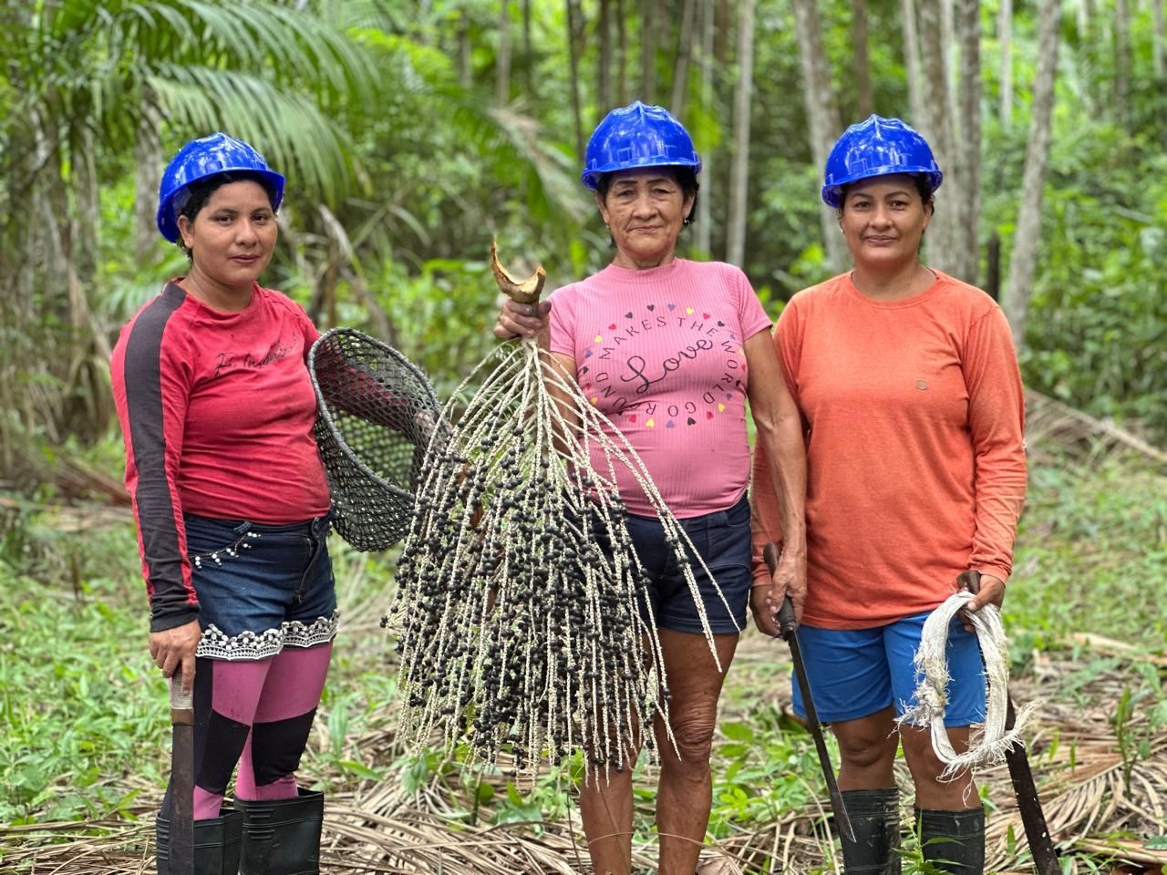 Cooperadas da Amazonbai com cachos de açaí recém-colhidos